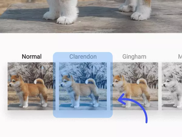 Show Your Favorite Instagram Filters First/ Hide the Ones You Don’t Use